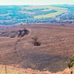 Mudanças climáticas podem reduzir a produção de cana-de-açúcar em até 20%