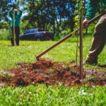 Ribeirão Preto fica em 3º lugar no ranking do Programa Município Verde Azul