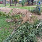 Prefeitura de Ribeirão Preto intensifica força-tarefa após chuvas e amplia medidas preventivas na cidade