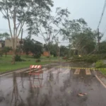 Temporal na manhã deste sábado já causou estragos em Ribeirão. Previsão de temporais vai até este domingo
