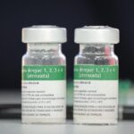 Tudo o que você precisa saber sobre a vacina da Dengue do Instituto Butantã que começa a ser aplicada na população