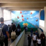 IBGE alerta para quadro assustador  e preocupante na saúde mental de adolescentes de 13 a 17 anos