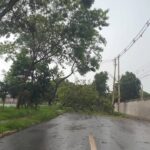 Chuva forte desta segunda feira causa estragos na cidade e interrompe trânsito em avenidas