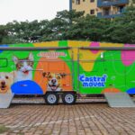 Castração gratuita  de animais em Ribeirão Preto ganha reforço com CADPet e volta do Castramóvel