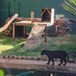 Frio em Ribeirão Preto faz bosque e zoológico Fábio Barreto adotar procolo especializado para cuidado com animais
