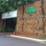 Parque Curupira será fechado meio período nesta segunda-feira por causa de uma ave
