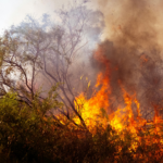 Ribeirão Preto entra em alerta para possíveis impactos do El Niño