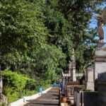 Em Ribeirão Preto animais de estimação poderão ser sepultados no mesmo cemitério e jazigo de seus donos
