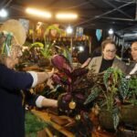 Evento gratuito transforma praça em espaço de convivência e empreendedorismo no Jardim São José