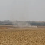 Agro mantém força em 2026 e segue como um dos motores da economia brasileira