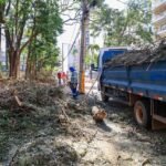 Ribeirão Preto retira 2.430 caminhões de resíduos após forte vendaval