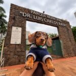Super Encontro de Salsichas movimenta Parque Raya neste domingo (4)