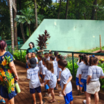 Bosque e Zoológico de Ribeirão Preto amplia horários de visitas monitoradas gratuitas