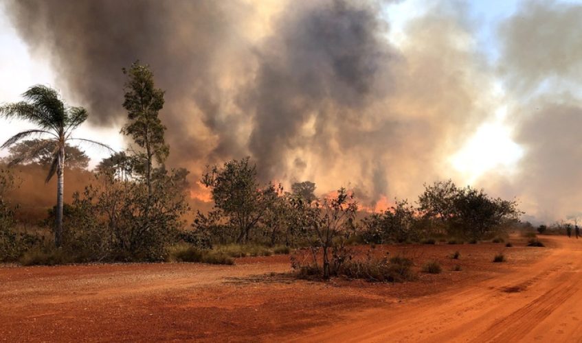 Foto: Divulgação\Agência SP