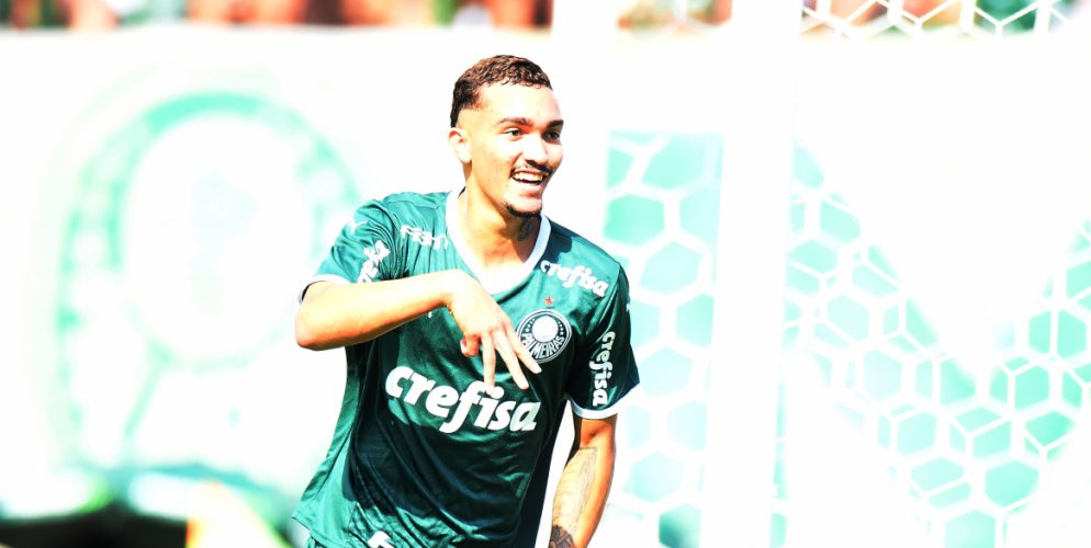 393_palmeiras