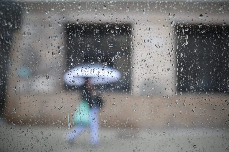 54117623255_cd4b0a68b0_k-1024x683 (1)