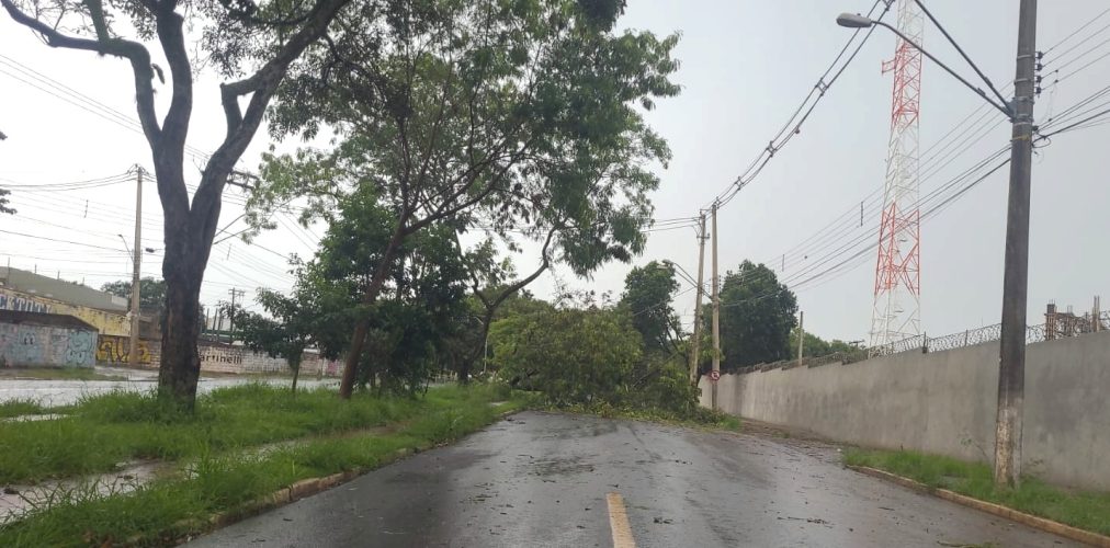 8d29f2dc-bc39-4095-b3d5-8148a44b