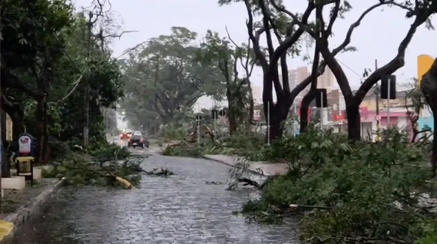 Avenida 9 de Julho - Foto Reprodução