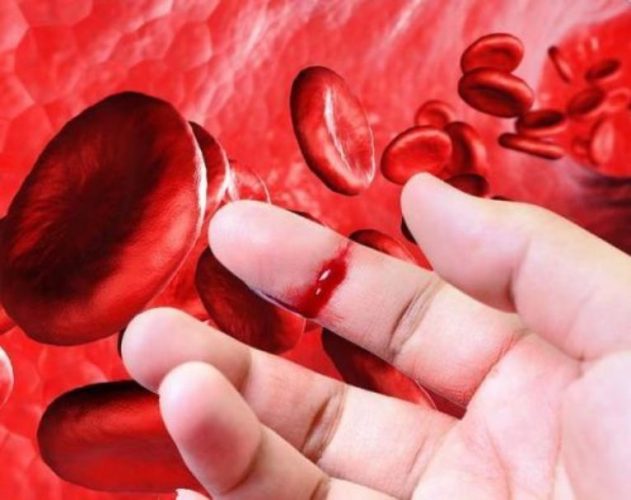 Imagem Divulgação / CRFR