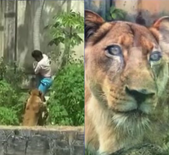 Imagem: Reprodução/Redes Sociais