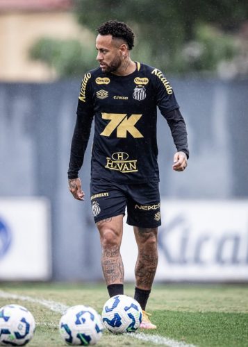 Foto: Raul Baretta/ Santos