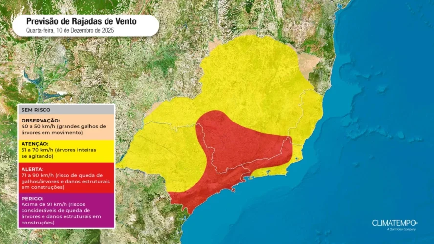 Imagem: Reprodução