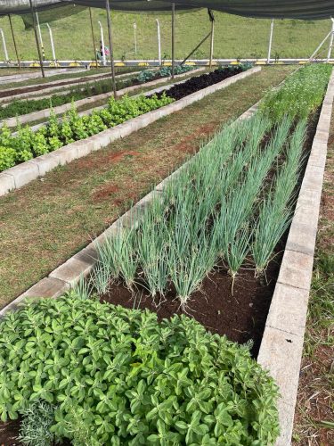 Imagem Novo Shopping