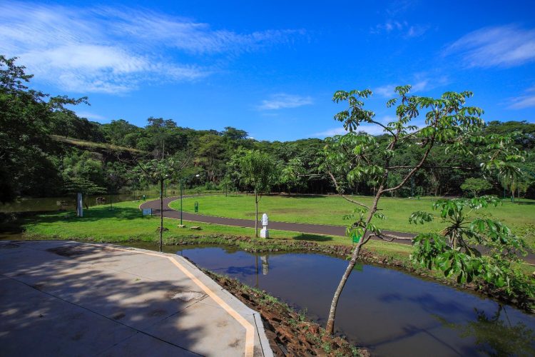 parquecurupira_fernandogonzagaa1