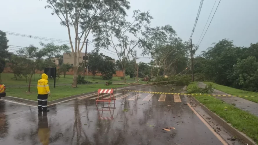 Foto Divulgação RP Mobi