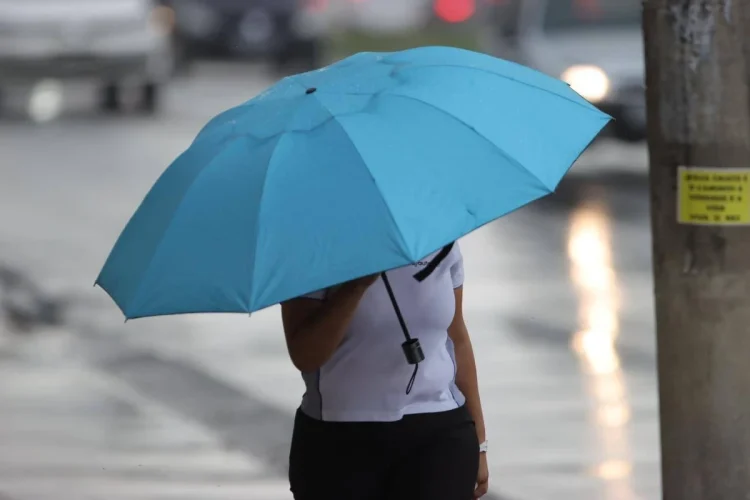 Foto: iStockphoto